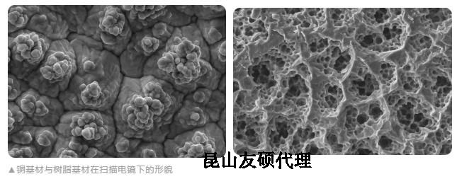 惠州蔡司惠州扫描电镜